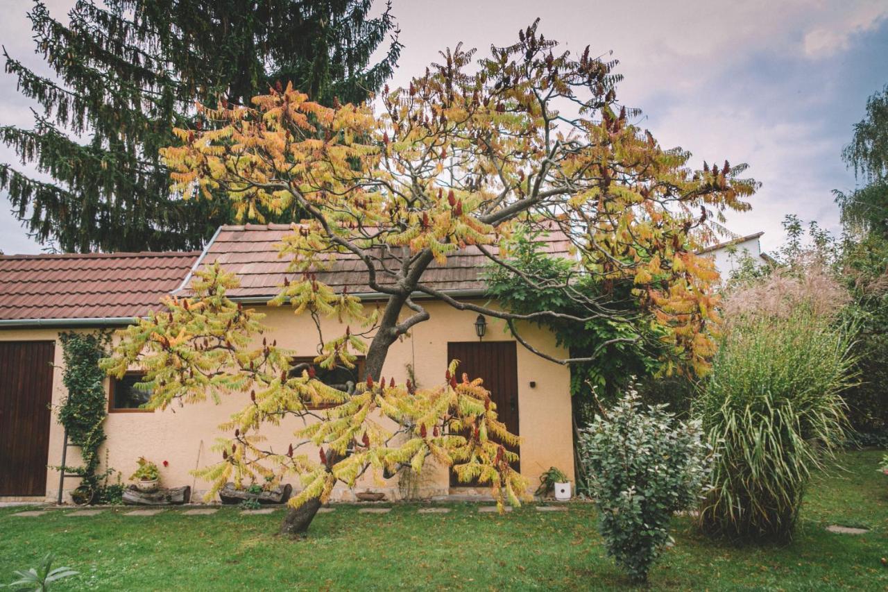 Pannonia Apartment Гёд Экстерьер фото